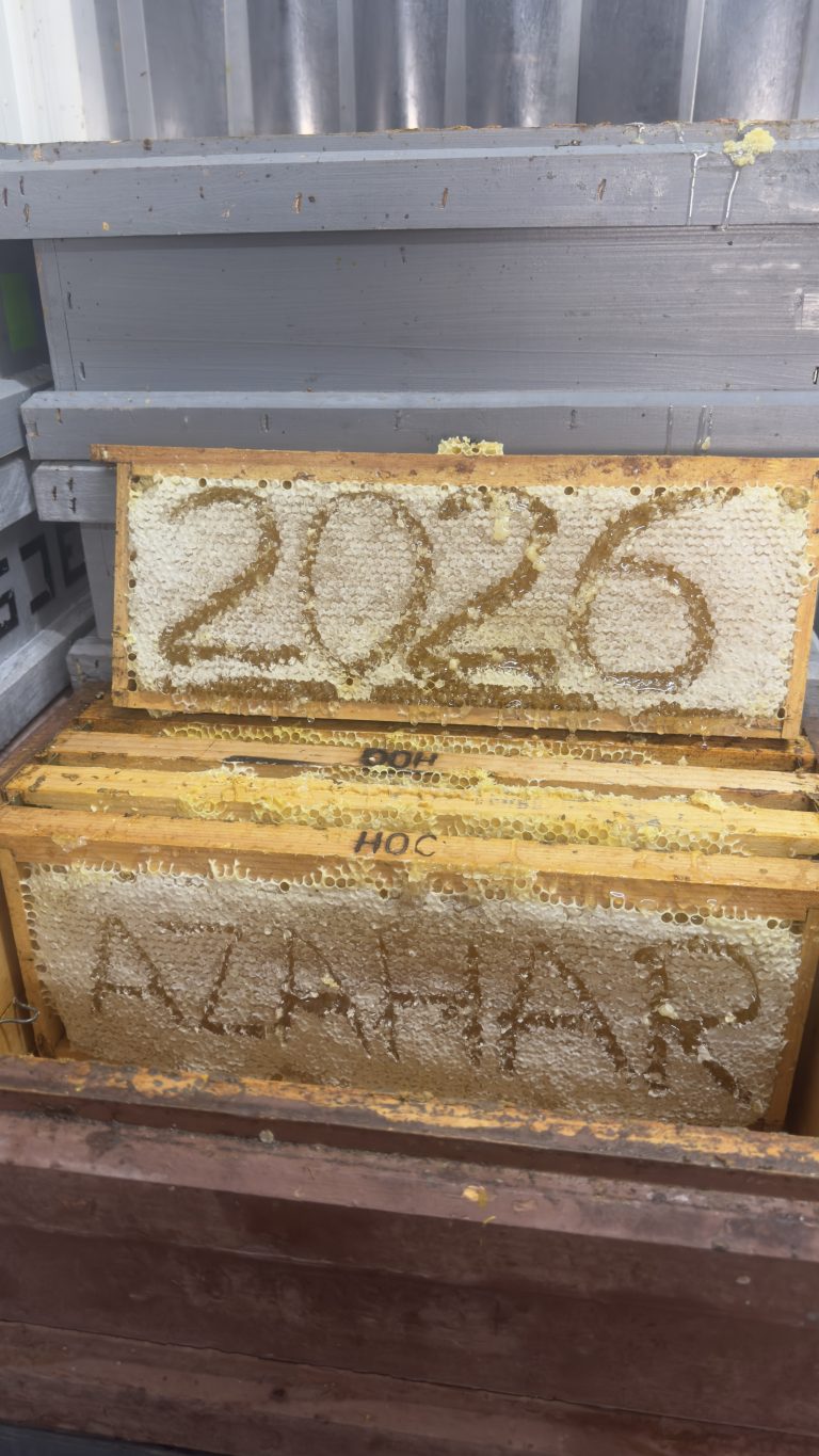 Miel de azahar